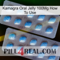 Kamagra Oral Jelly 100Mg How To Use viagra4